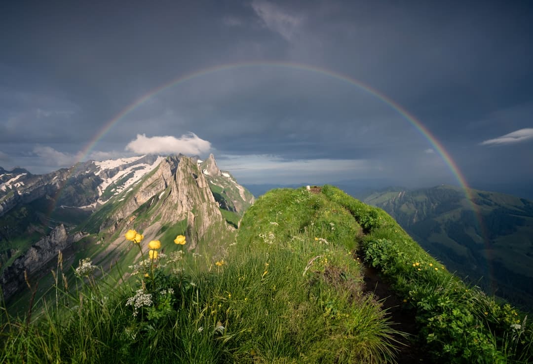 https://static.cfbond.com/files/web/online/caifuwang/images/2508/29/1912556326733689.jpg